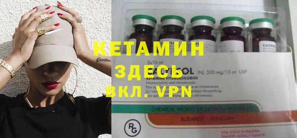 крисы Алексин
