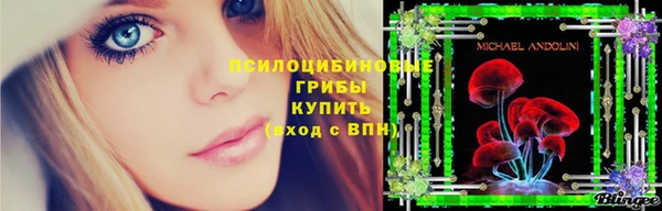 гидра Алексеевка