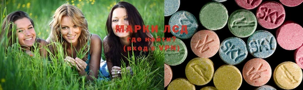 крисы Алексин