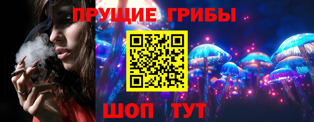 Нововоронеж  Псилоцибиновые грибы MAGIC MUSHROOMS  Вход с VPN 